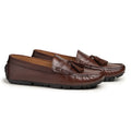 Canterbury Brown