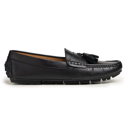 Canterbury Black